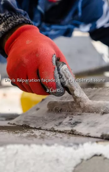 Devis Réparation façade, muret, faîtière, fissure a Lantic